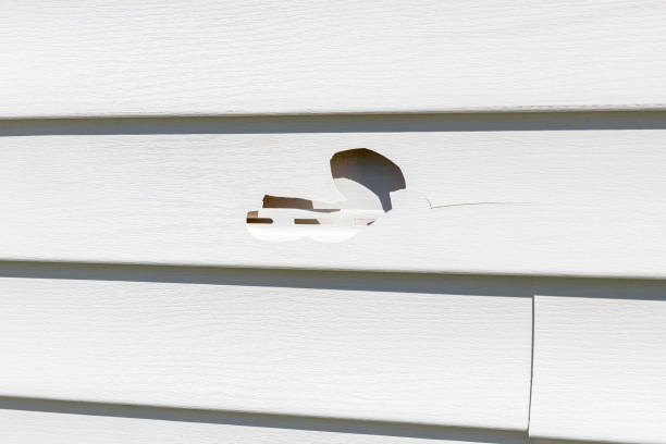 Professional Siding Installation & Repair in North Apollo, PA